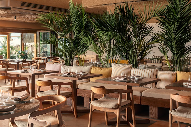 SALT Restaurant & Beach Club